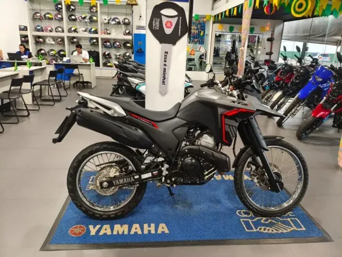 LANDER 250 CINZA