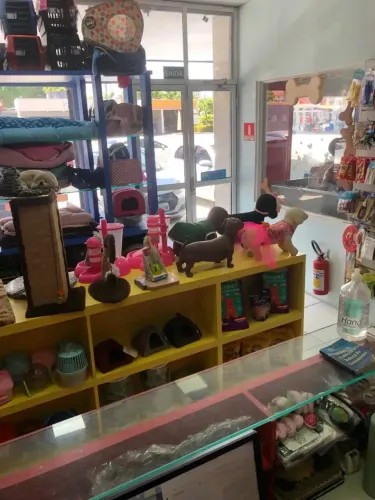 Transfiro Pet Shop Montado e funcionando, 50m2 no Papicu, Av. Alberto Sá, esquina com Sant