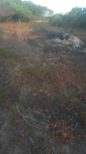 Terreno a 100 metros da pista Santo Amaro Lençóis Maranhenses