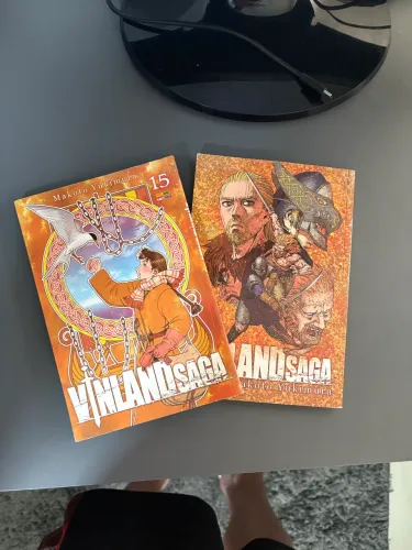 Mangá Vinland Saga-13 e 15
