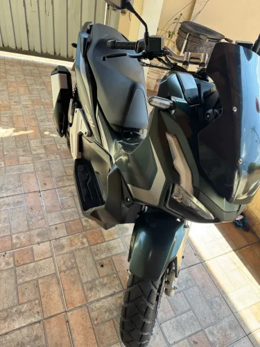Vendo adv 2024
