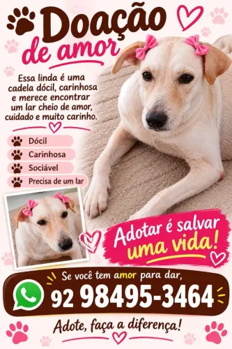 DOAÇÃO DE PET FÊMEA