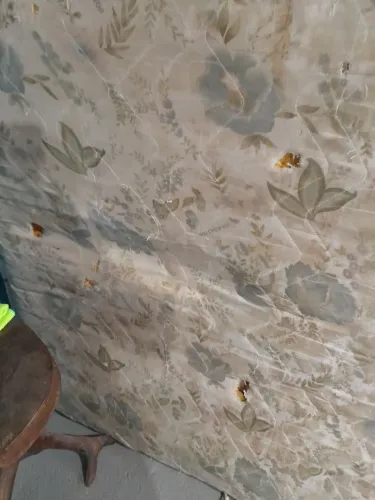 Vendo colchão grande Queen está meia boca mas dá pra usar não é novo já estou avisando ok