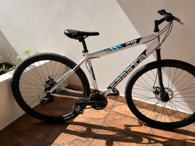 Bike Aro 29