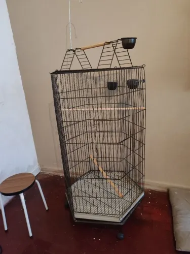 Gaiola grande para pássaros ( altura: 1,40cm circunferência: 2,20cm)