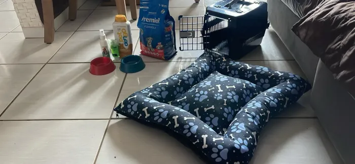 Vendo utensílios para o seu pet!