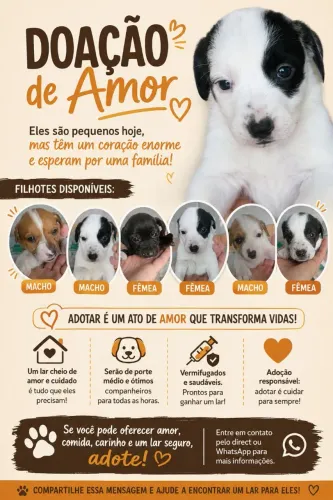 Doando filhotes