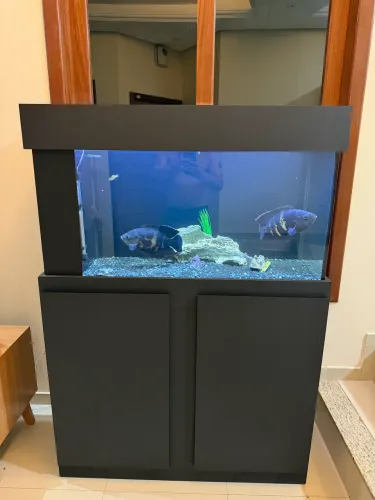 Aquário 250 litros com acessórios.