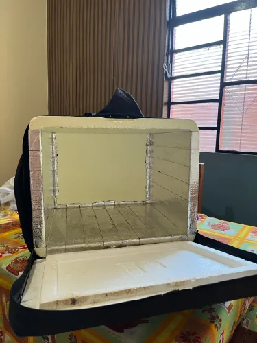 Bag - entregador