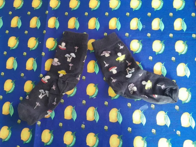 Par de meias pretas com cogumelos