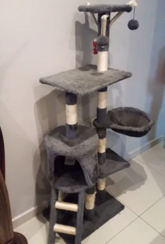Torre circuito e casa para gato