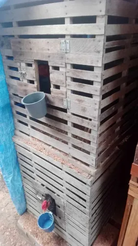 4 estufas de galo a venda