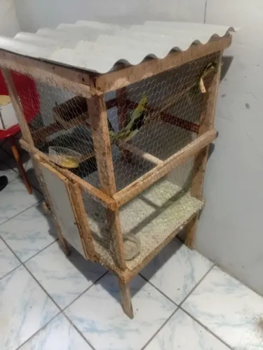 Estou vendendo conversa temvalor