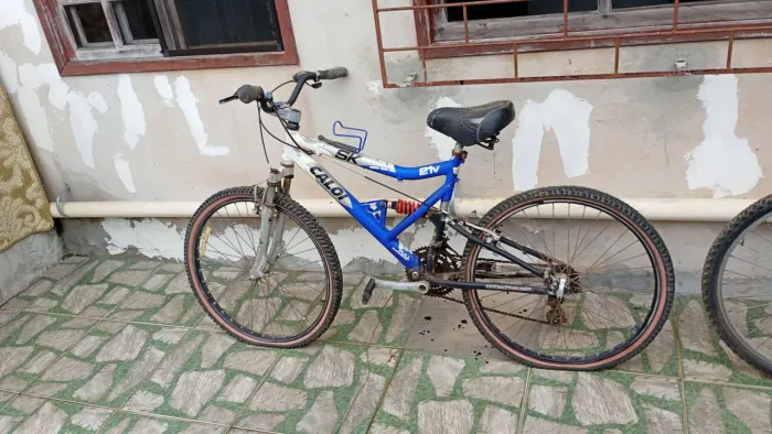 Bicicleta
