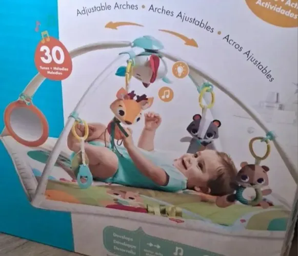 Tapete de Atividades Tiny Love