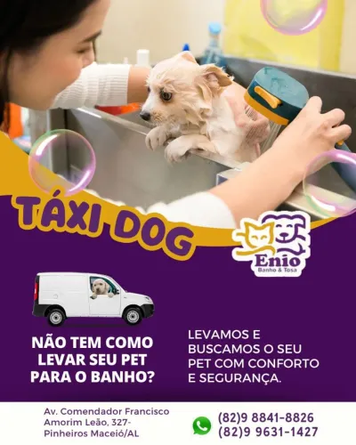 enio banho tosa