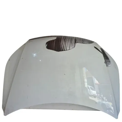 Capô Volkswagen Tiguan 2011 2012 2013 2014 2015 2016 Original 26578