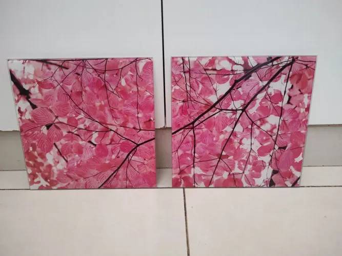 Quadros Flores Cereja In Casa 2 Unidades 