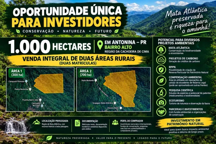 Oportunidade De Liquidação Patrimonial 1.000 Hectares Em Antonina-pr