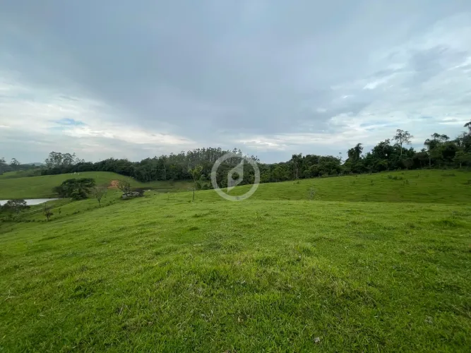 Terreno com pastagem de ampla metragem