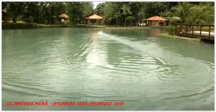 Água Cristal, Lote com 800 m²