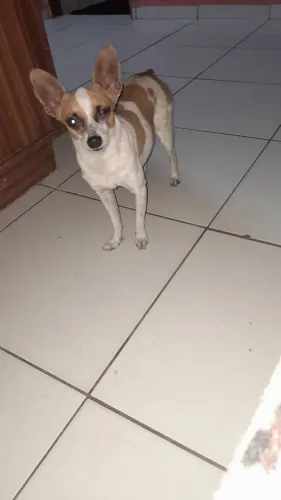 Doação