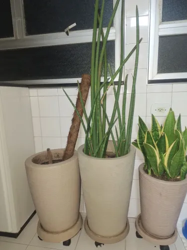 Vaso de planta