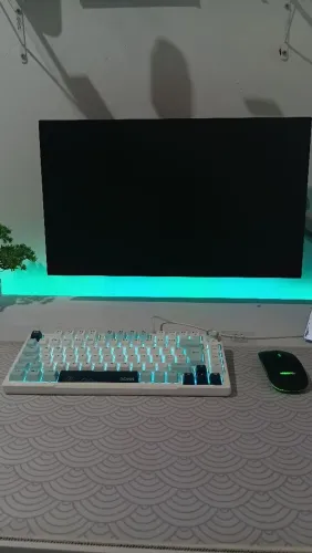 MONITOR + TECLADO MECÂNICO + MOUSE E MOUSEPAD + BRAÇO ARTICULADO
