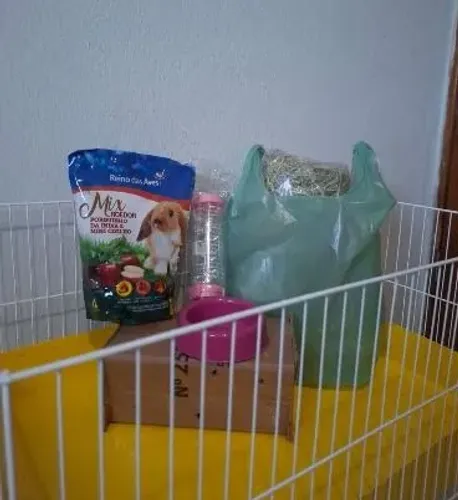 Cercado para Porquinho da Índia