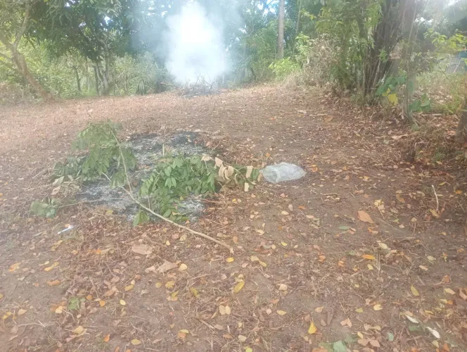 Vendo esse terreno venda