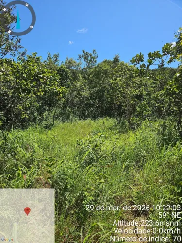 Chacara 4.8 hectares