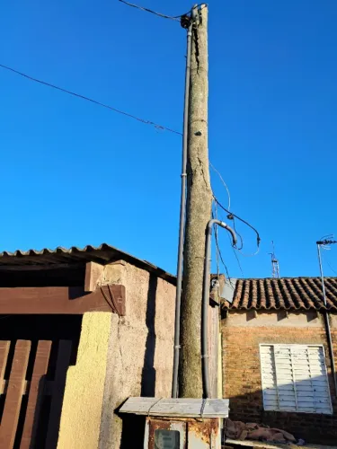 Tenho uma lulu micro nunca cruzou tem um ano e meio por um casal de Yorkshire 