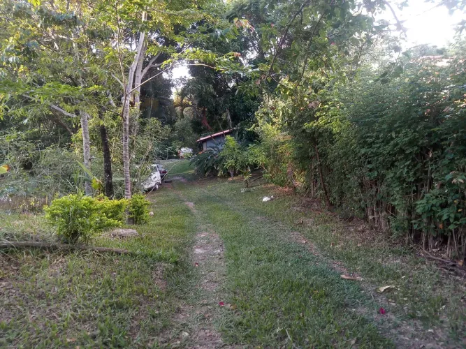 Chácaras de 1.000 m, 1 km asfalto.