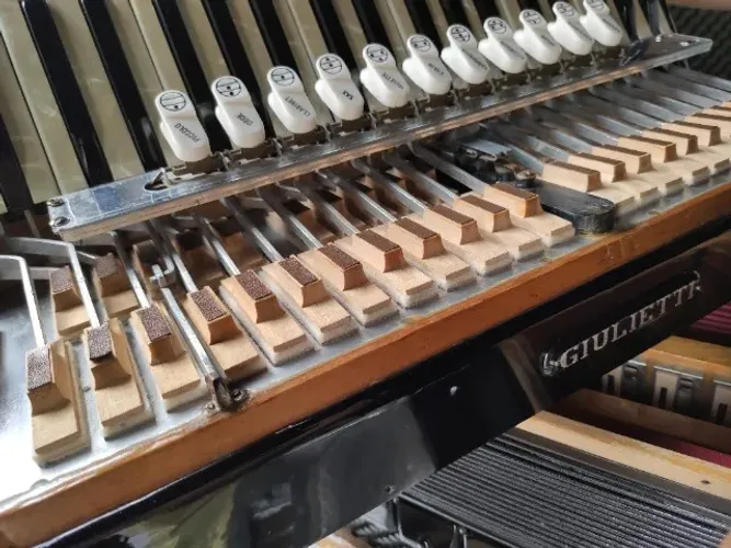 Afinador de acordeon/sanfona