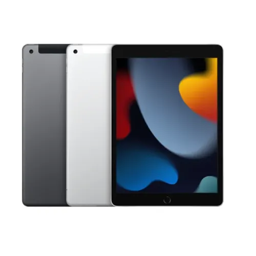 iPad 9 -64GB Cinza