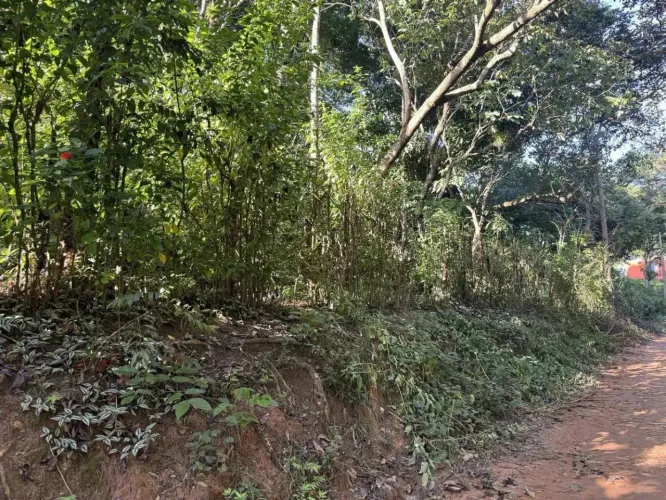 Terreno para venda, Cana Seca, Guaramiranga