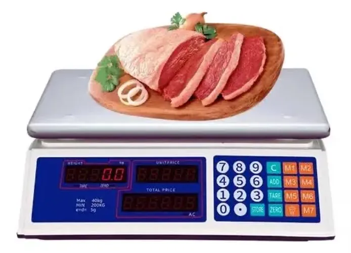Balança Bi volt Recarregável Tech Fênix 40kg 2g