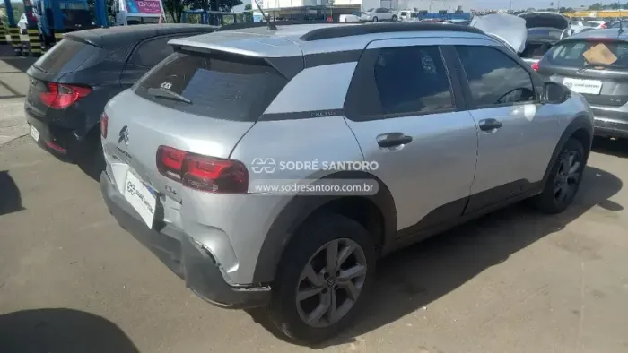 SUCATA C4 CACTUS