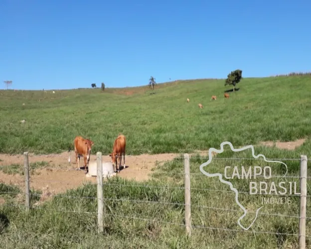 Oportunidade Rural! Fazenda de 106 alqueires a poucos minutos do Centro de São José!