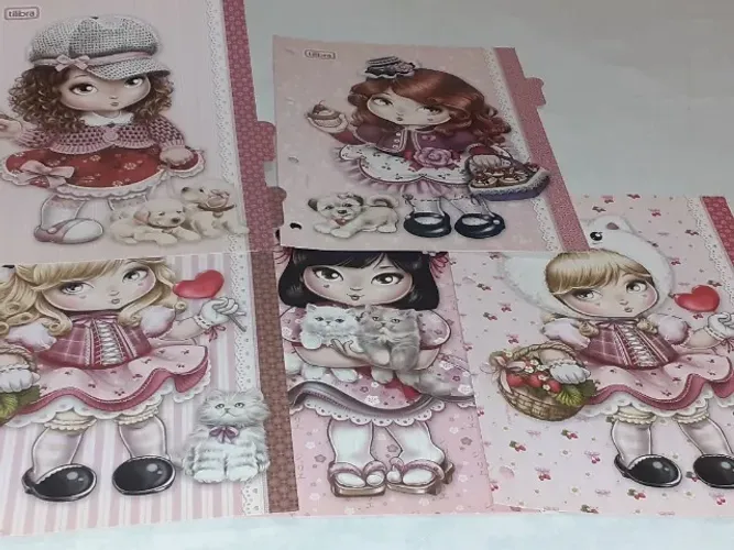 Divisória Jolie p/fichário e Livros Gramática e Dicas p/concursos usados e em excelente