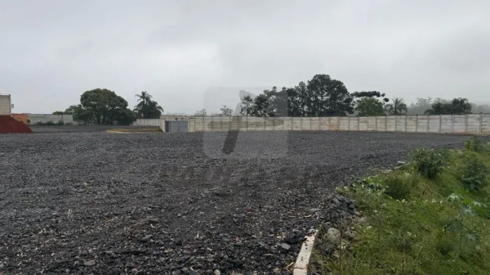 Terreno industrial para alugar no Bairro Palmeiras de São Paulo - Suzano - SP