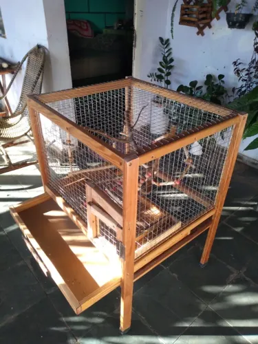 Viveiros e poleiros de madeira para aves