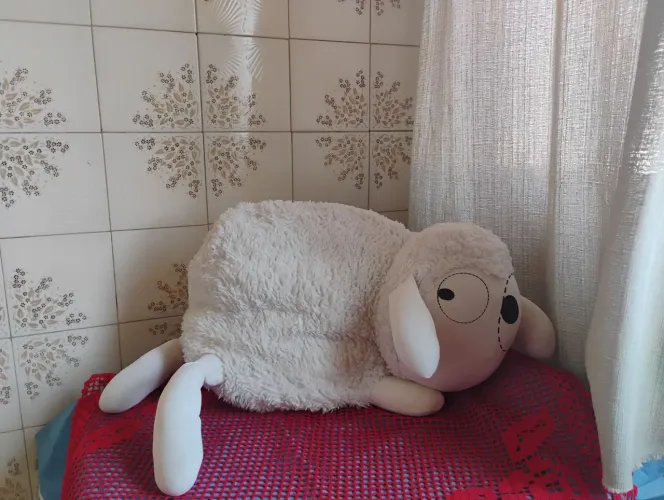 CARNERINHO PÓRTA PIJAMA E TRAVESSEIRO