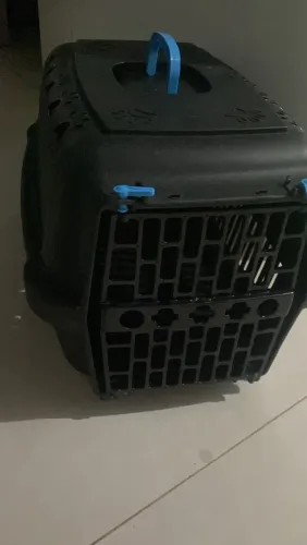 Caixa para gato