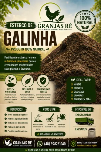 Esterco De Galinha 