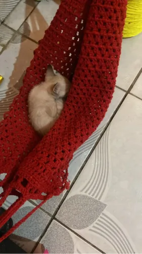 ? Rede para Pets Artesanal - Feita por Encomenda