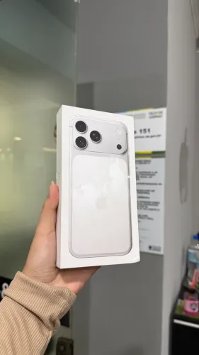 Excelente 17 Pro Max Silver 256 GB