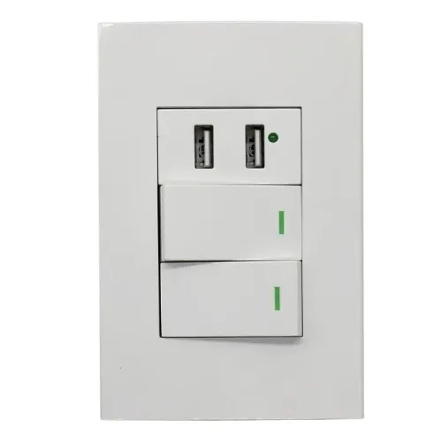 Interruptor Duplo de Parede com 2 Entradas USB Bivolt 