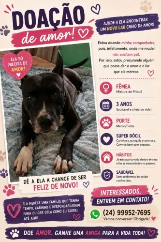 Doação responsável