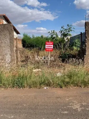 Terreno à venda, São Jorge - Uberlândia/MG - Rotina Imobiliária